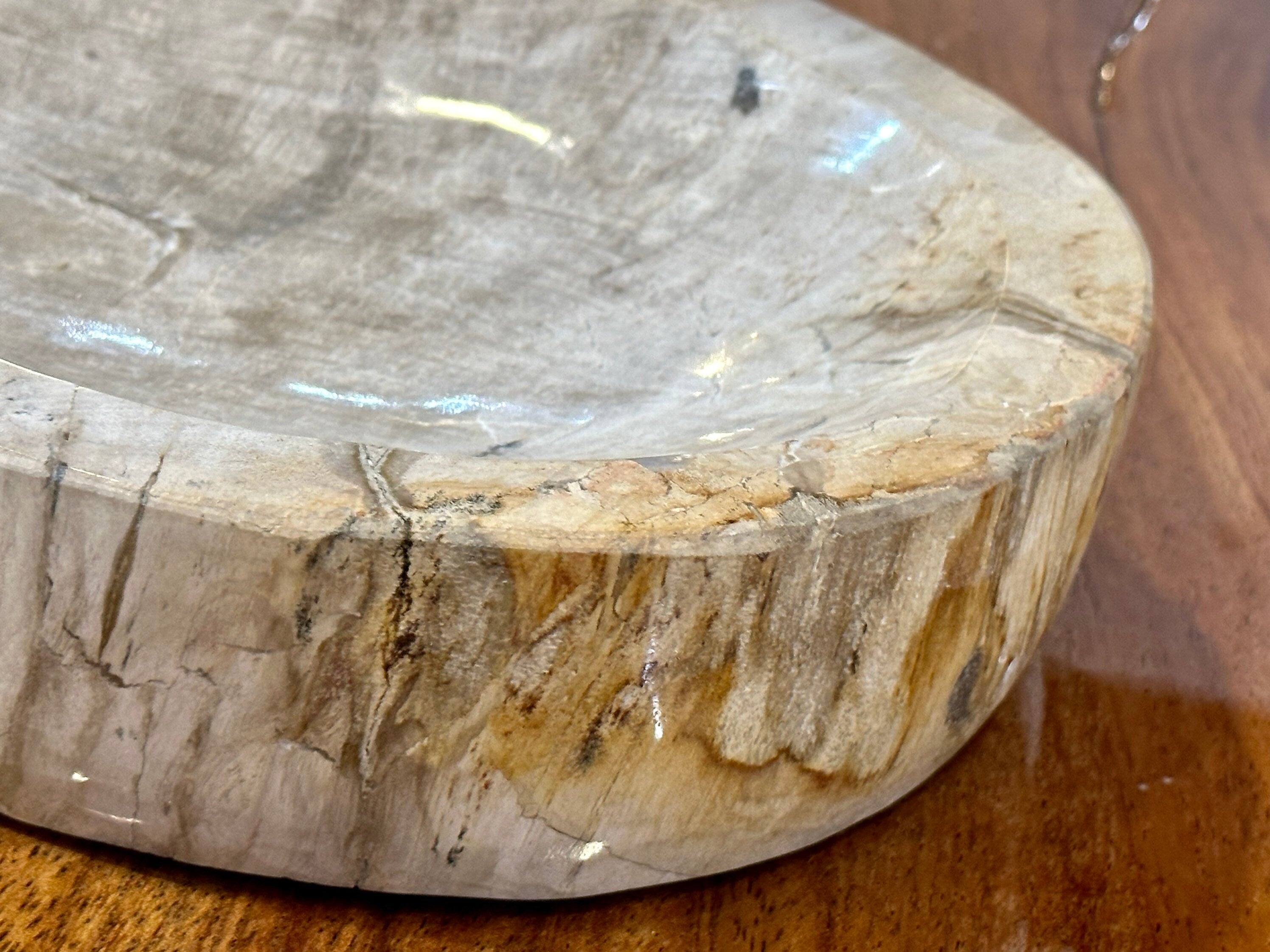 Petrified Wood Decorative Bowl - Handcrafted One of a Kind - Home Decor - Bowl