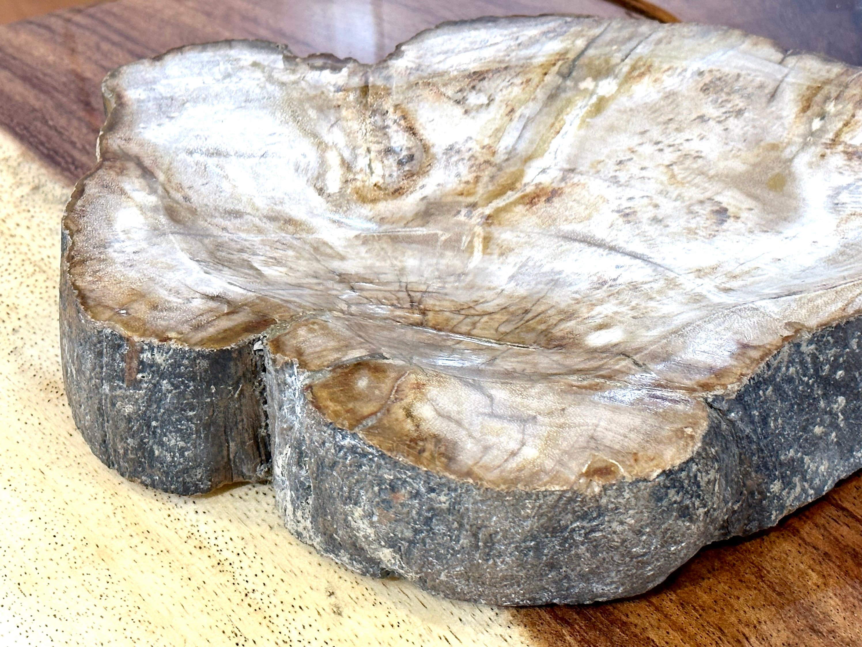 Petrified Wood Decorative Bowl - Handcrafted One of a Kind - Home Decor - Bowl